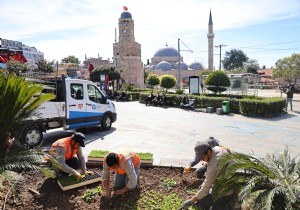 Antalya  4 milyon yazlık çiçekle bahara hazırlanıyor
